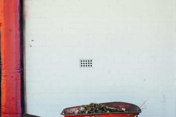 Piccoli lavori di Artigianato