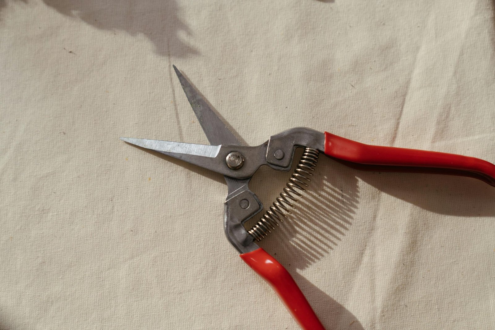 Faccio lavori di Giardinaggio