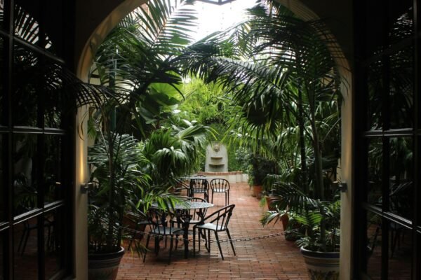 Curo il Verde del tuo Terrazzo