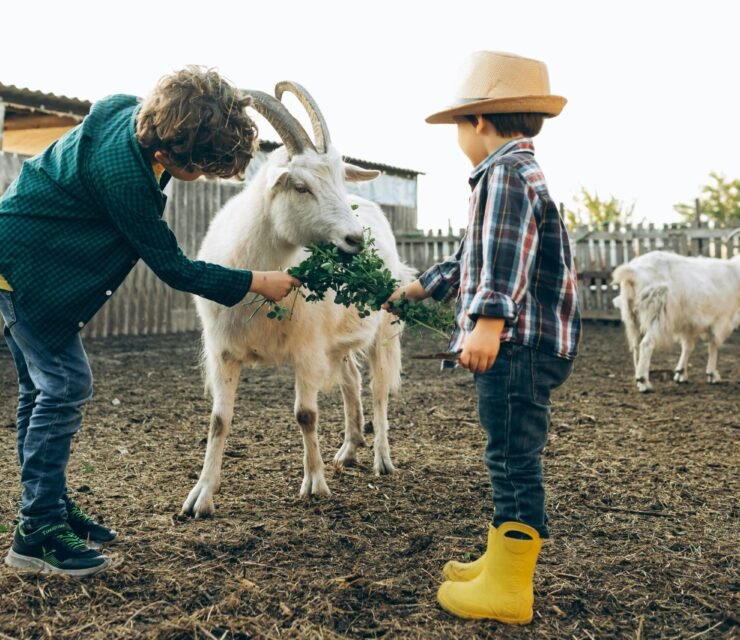 Educare i Bambini al Rispetto per gli Animali: Crescere con Empatia e Consapevolezza