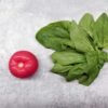 Bere Acqua: L’Importanza dell’Idratazione Quotidiana