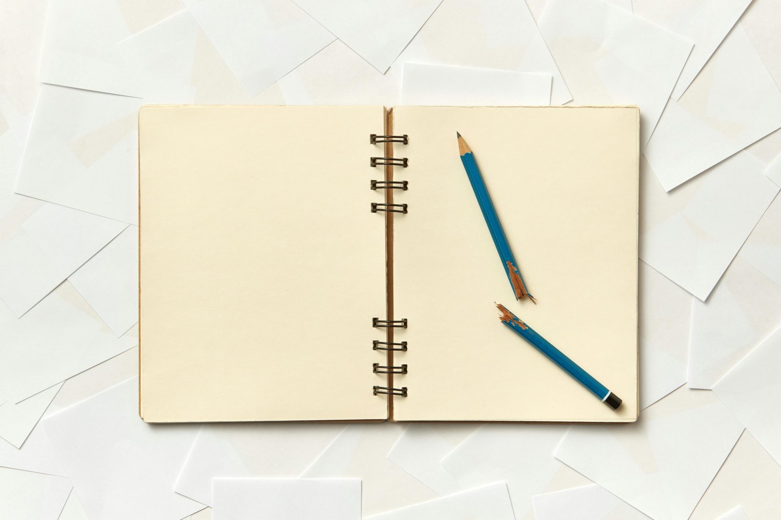 Materiali di Qualità: Gli Alleati Perfetti per Scuola e Ufficio